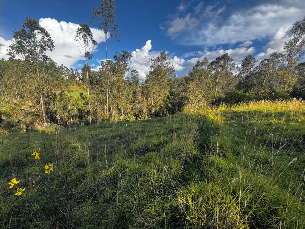 TERRENO EN VENTA EN DELEG SECTOR SOLANO - 4