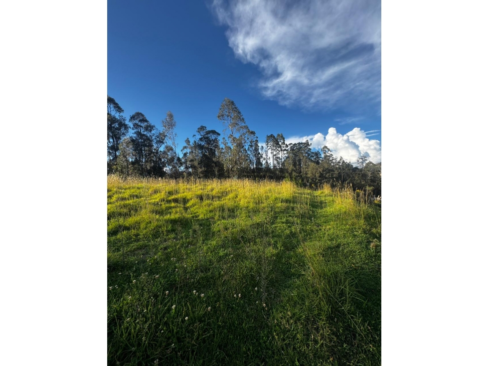 TERRENO EN VENTA EN DELEG SECTOR SOLANO - 6
