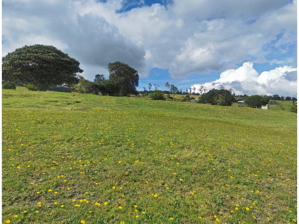 Lote en Venta en Montevioleta Yerbabuena Sopó — foto 5