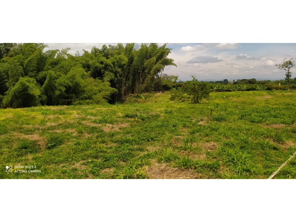Proyecto para 16 casas campestres en Venta en El Caimo, Quindío — foto 2