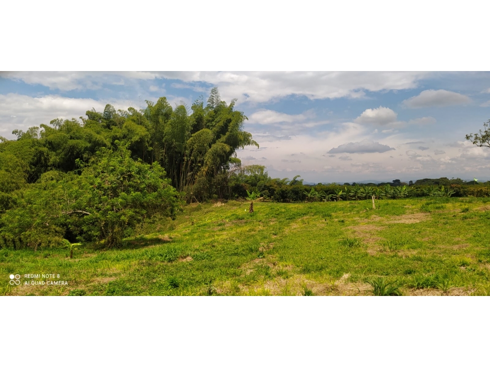 Proyecto para 16 casas campestres en Venta en El Caimo, Quindío — foto 3