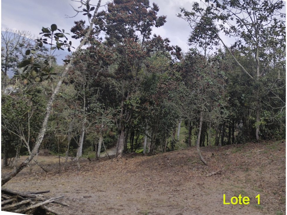 Venta Lote en Las Palmas, El Retiro. Unidad cerrada. Topografía mixta — foto 5