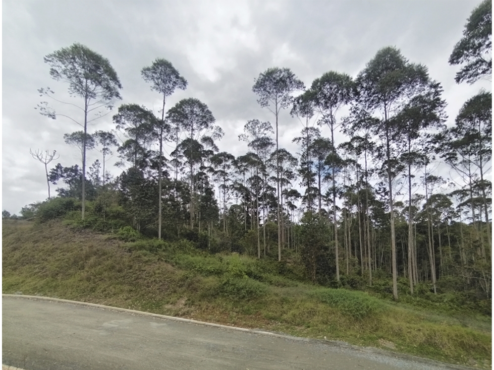 Venta Lote en Horizontes, sector Don Diego. Buena topografia. Vista. — foto 2