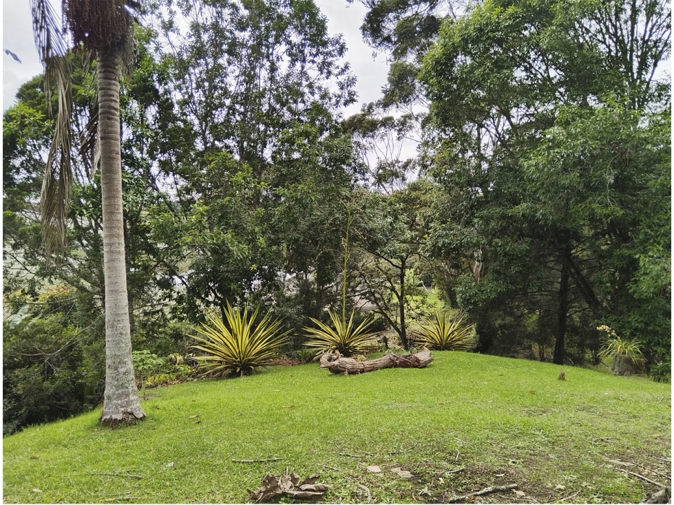 Venta Lote enEl Retiro. Independiente. Topografia muy aprovechable. — foto 4