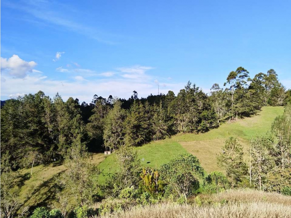 Venta lote en Parcelación , El Retiro. Sector Pantanillo. Financiación