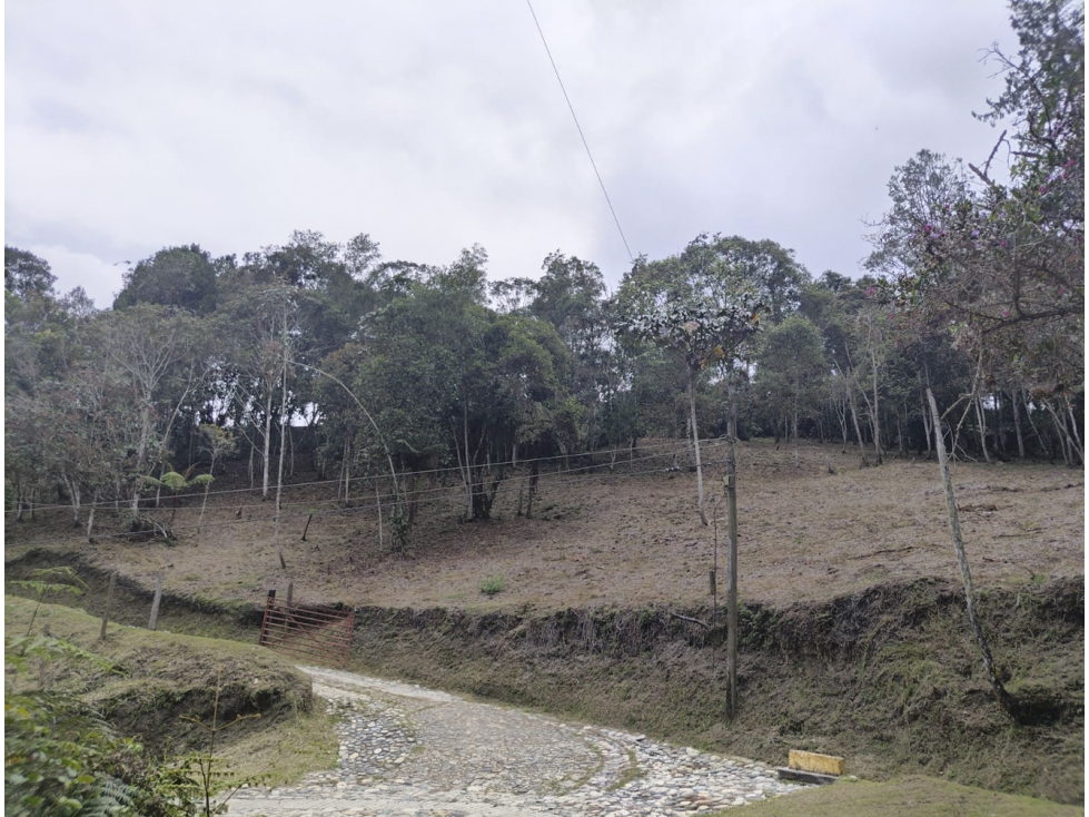 Venta Lote en Las Palmas, El Retiro. Unidad cerrada. Topografía mixta — foto 6