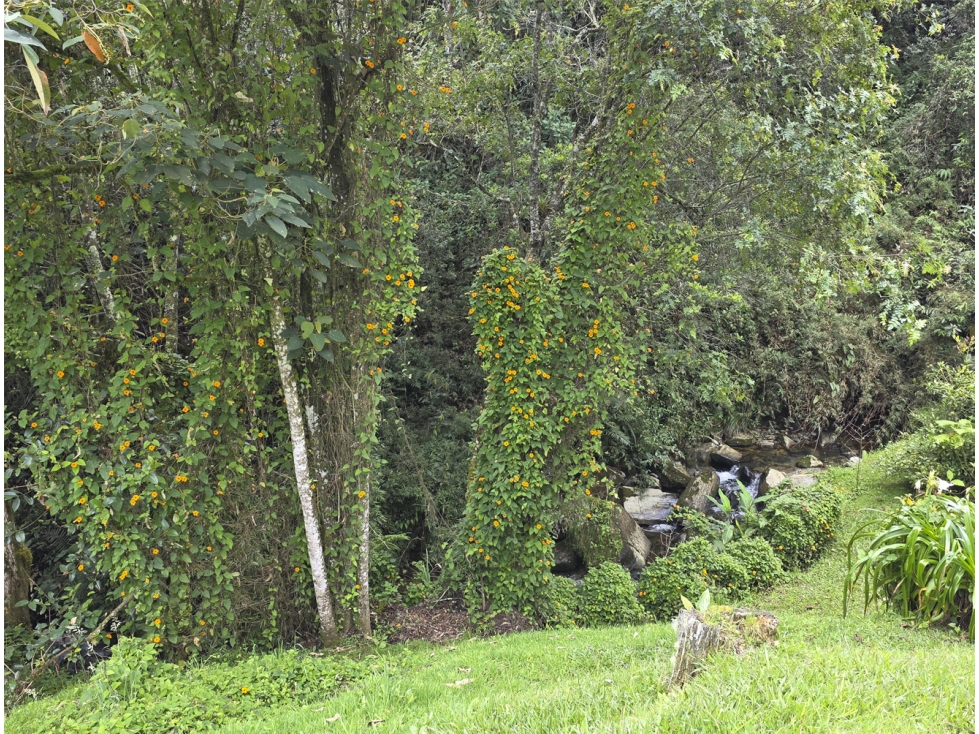 Venta Lote Alto de Las Palmas. Muy privado. Lote independiente. — foto 5