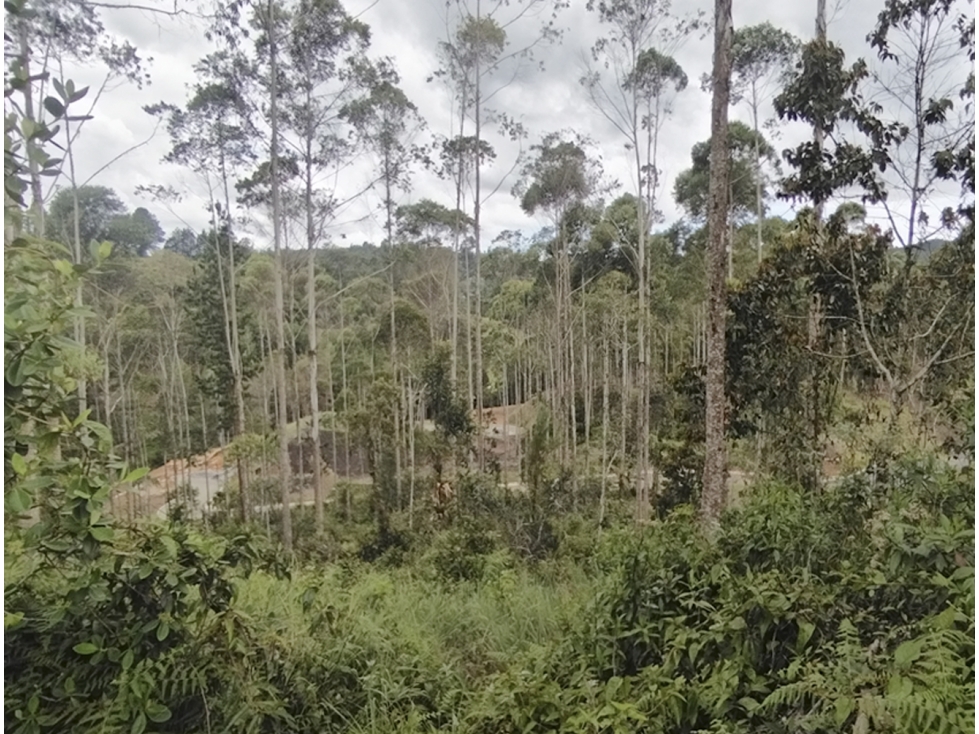 Venta Lote en Horizontes, sector Don Diego. Buena topografia. Vista. — foto 4