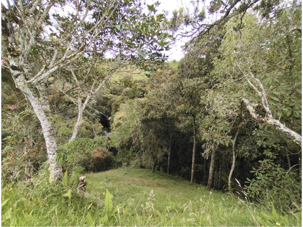 Venta lote en Las Palmas. Unidad cerrada. Vista y bosque. Explanación. — foto 6
