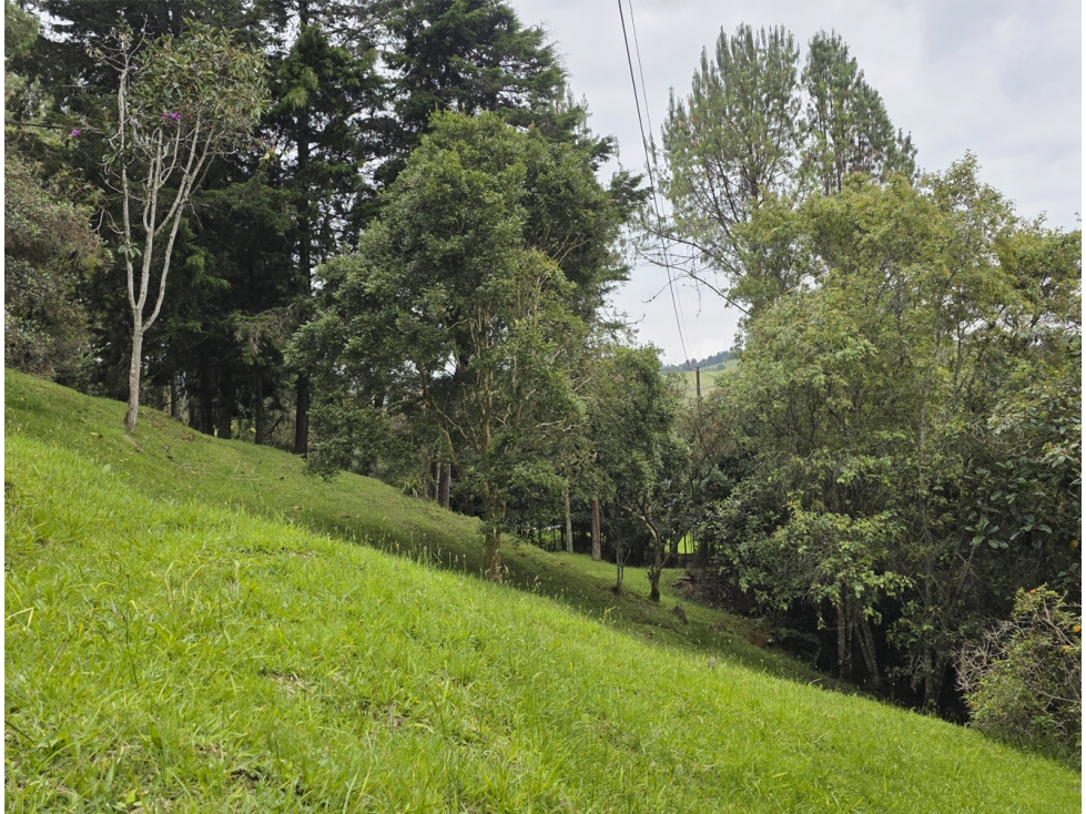 Venta Lote Alto de Las Palmas. Muy privado. Lote independiente. — foto 2