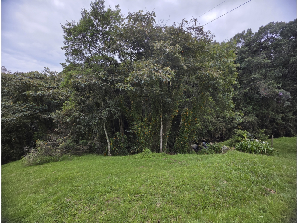 Venta Lote Alto de Las Palmas. Muy privado. Lote independiente. — foto 6