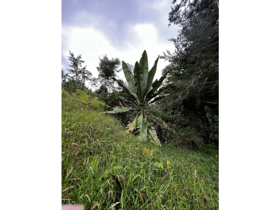 LOTE EN VENTA, HERMOSO, EL RETIRO V. EL CHUZCAL — foto 5
