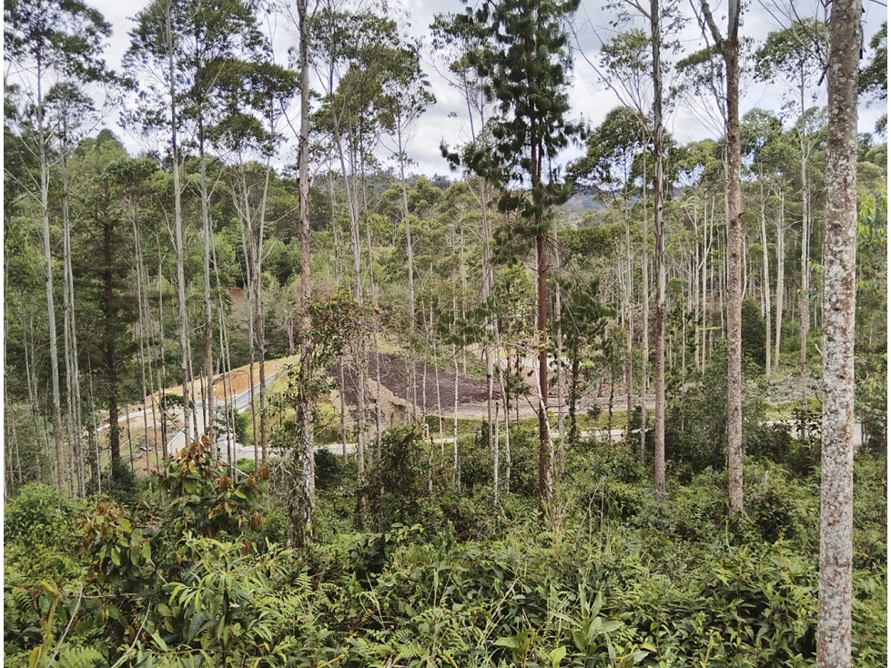 Venta Lote en Horizontes, sector Don Diego. Buena topografia. Vista. — foto 5