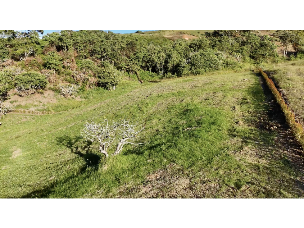 LOTE PARA LA VENTA, EN PARCELACION, LA CEJA, ANTIOQUIA - 2