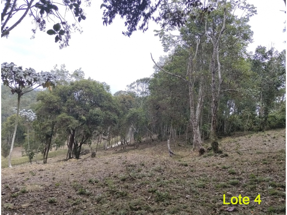 Venta Lote en Las Palmas, El Retiro. Unidad cerrada. Topografía mixta — foto 3