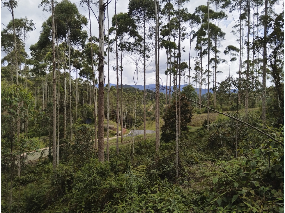Venta Lote en Horizontes, sector Don Diego. Buena topografia. Vista. — foto 6