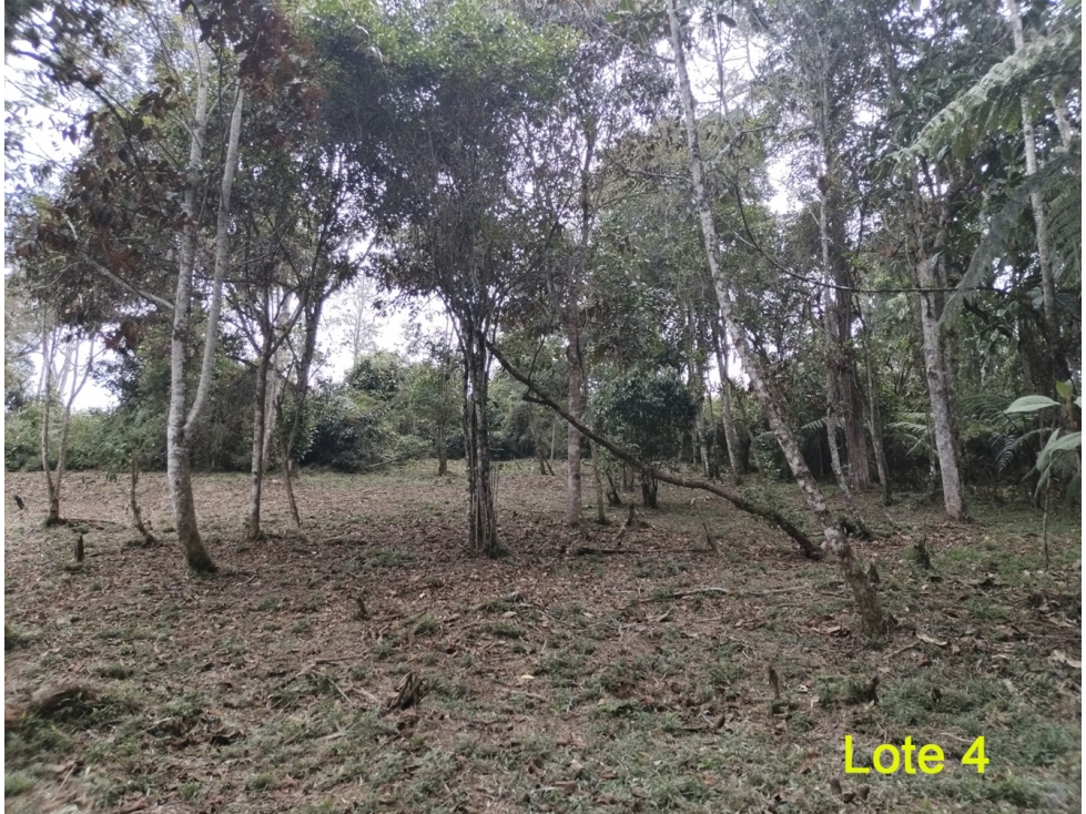 Venta Lote en Las Palmas, El Retiro. Unidad cerrada. Topografía mixta — foto 4