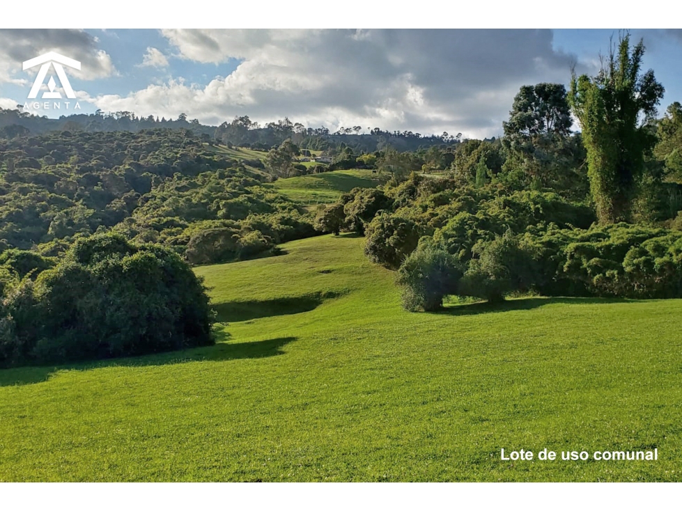 Lote en VENTA en Parcelación — foto 5