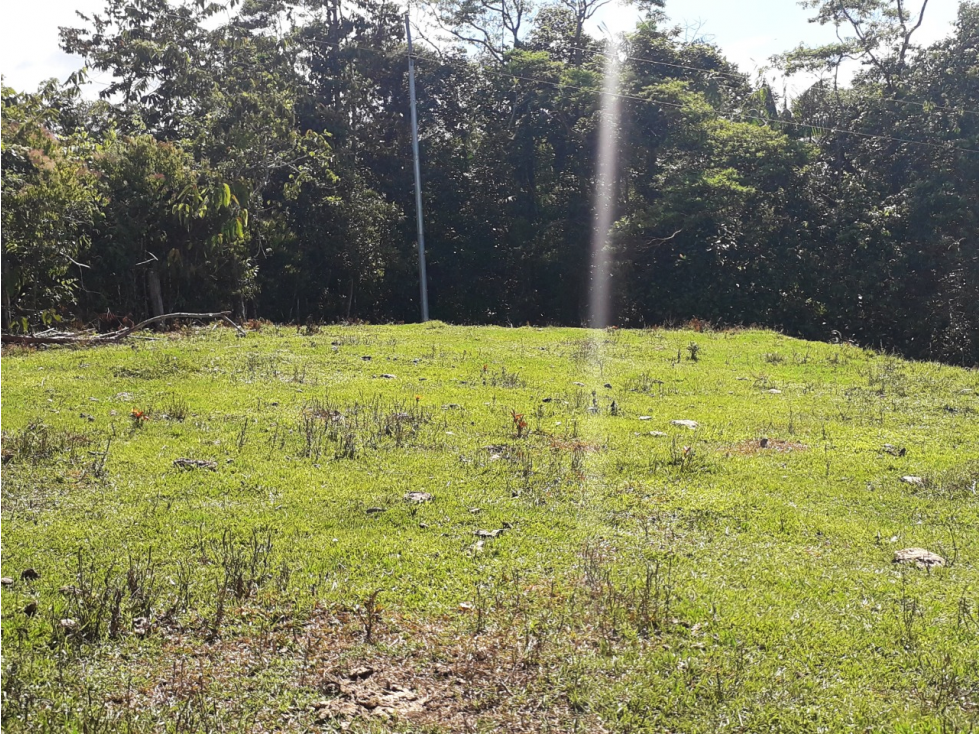 VENTA LOTE DE 3.347 MT2 EN SAN ROQUE ANTIOQUIA - 2