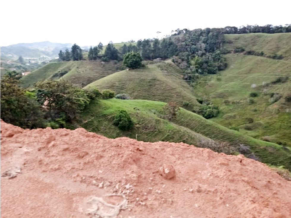 VENTA DE LOTE 5E DE 4.000 MTS2 EN SAN ROQUE ANTIOQUIA - 5