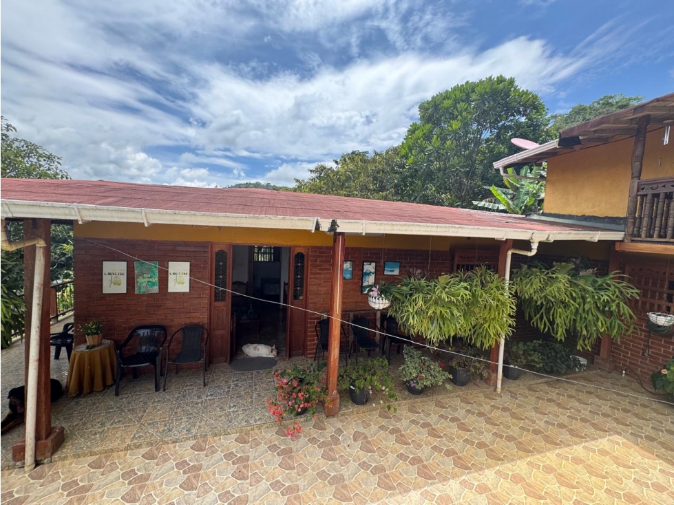VENTA HERMOSA FINCA 11.3 HECT. YOLOMBO ANTIOQUIA - 4