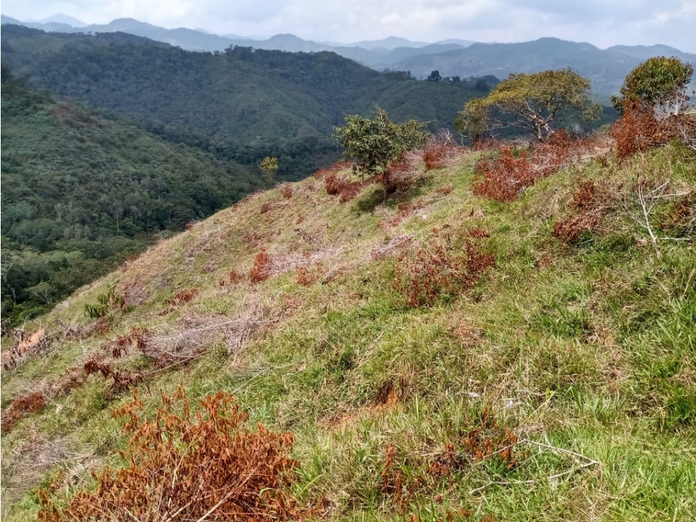 VENTA LOTE 7.200 MTS 2 QUINTAS DE SANTA CRUZ SAN ROQUE - 4
