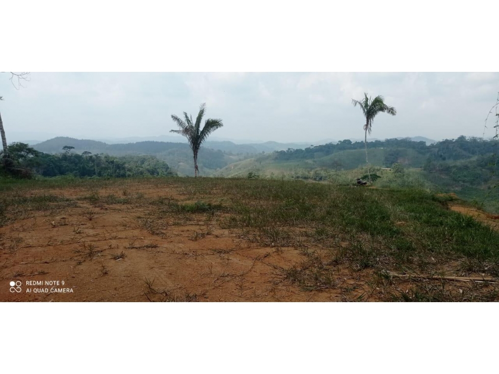 VENTA LOTE 3.333 MTS2 SAN ROQUE ANTIOQUIA - 2