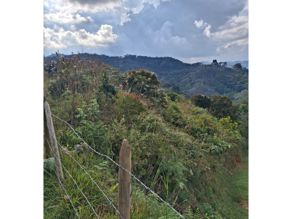 VENTA LOTE 5.000 M2 SAN ROQUE ANTIOQUIA - 2