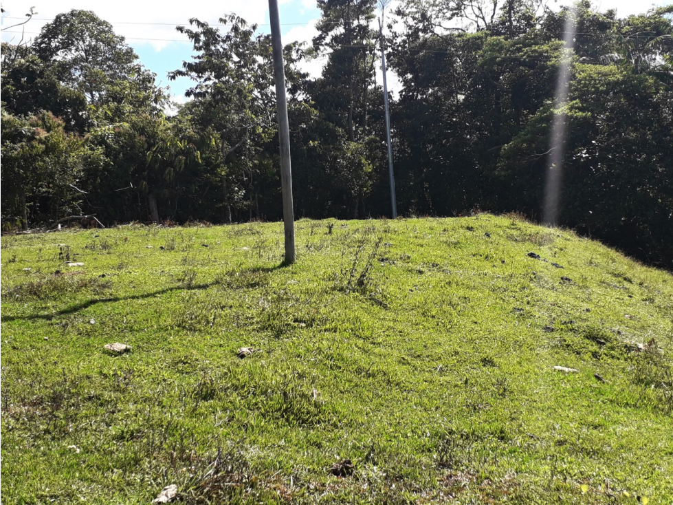 VENTA LOTE DE 3.347 MT2 EN SAN ROQUE ANTIOQUIA - 4