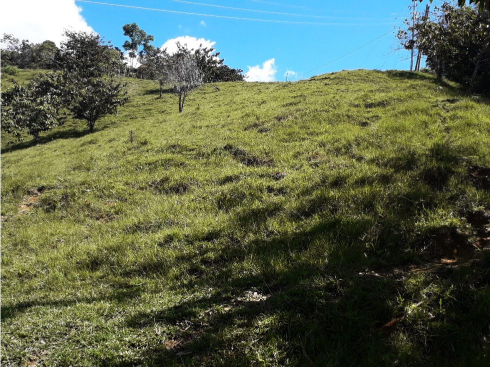 VENTA LOTE DE 3.347 MT2 EN SAN ROQUE ANTIOQUIA - 5