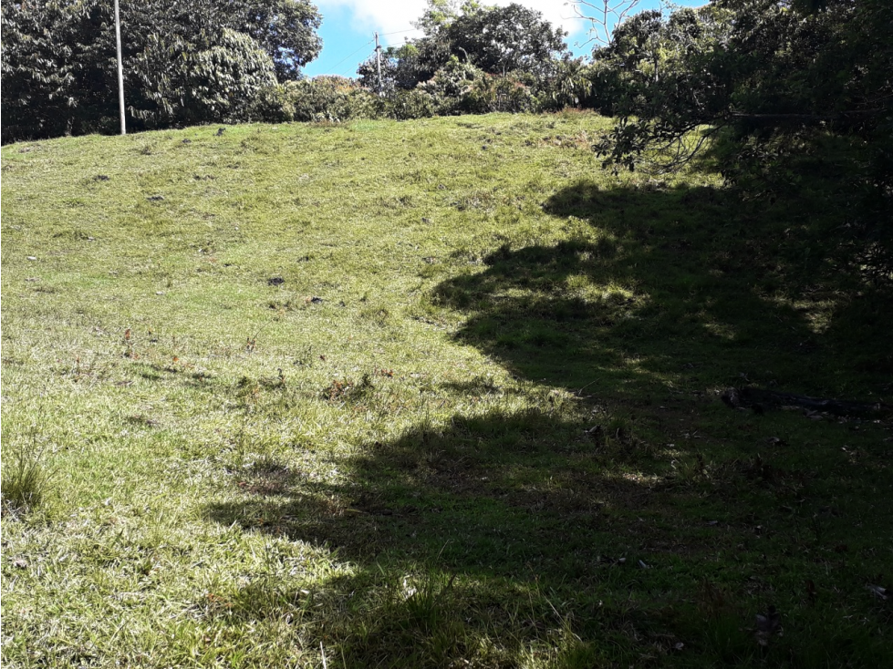 VENTA LOTE DE 3.347 MT2 EN SAN ROQUE ANTIOQUIA - 6