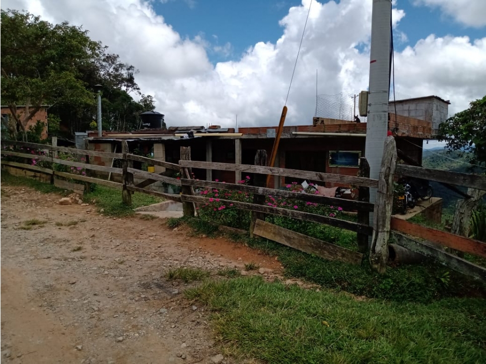 FINCA DE 9 HECTÁREAS EN SAN ROQUE ANTIOQUIA - 4
