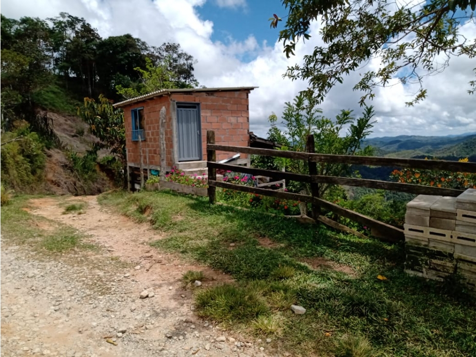 FINCA DE 9 HECTÁREAS EN SAN ROQUE ANTIOQUIA - 2