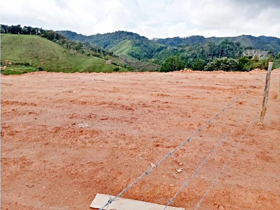 VENTA DE LOTE 5E DE 4.000 MTS2 EN SAN ROQUE ANTIOQUIA - 3