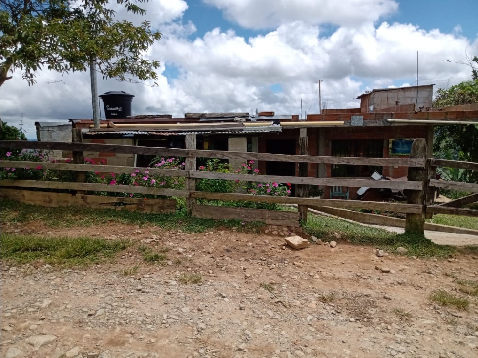 FINCA DE 9 HECTÁREAS EN SAN ROQUE ANTIOQUIA - 3