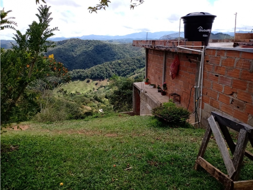 FINCA DE 9 HECTÁREAS EN SAN ROQUE ANTIOQUIA - 6