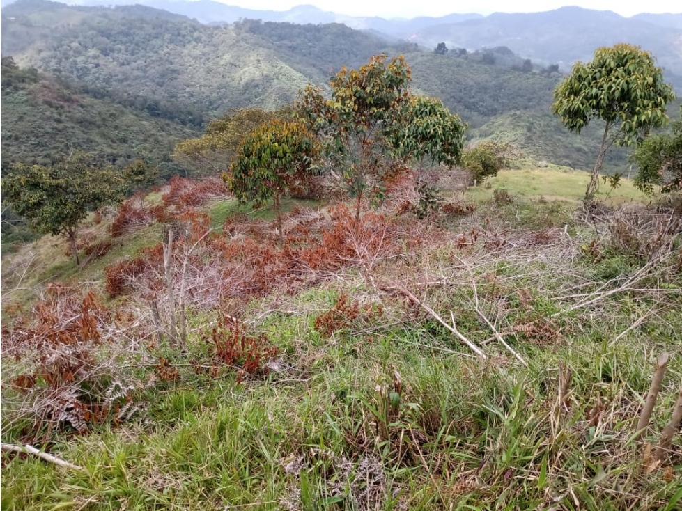 VENTA LOTE 7.200 MTS 2 QUINTAS DE SANTA CRUZ SAN ROQUE - 5