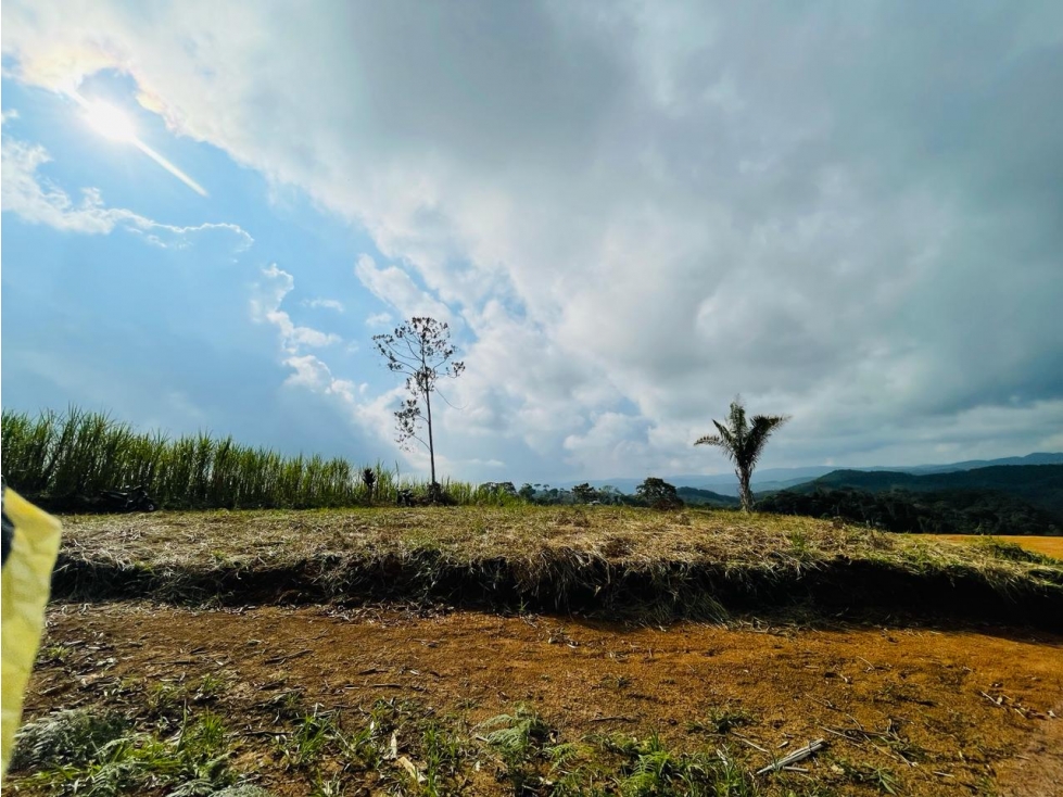 VENTA LOTE 3.333 MTS2 SAN ROQUE ANTIOQUIA - 3