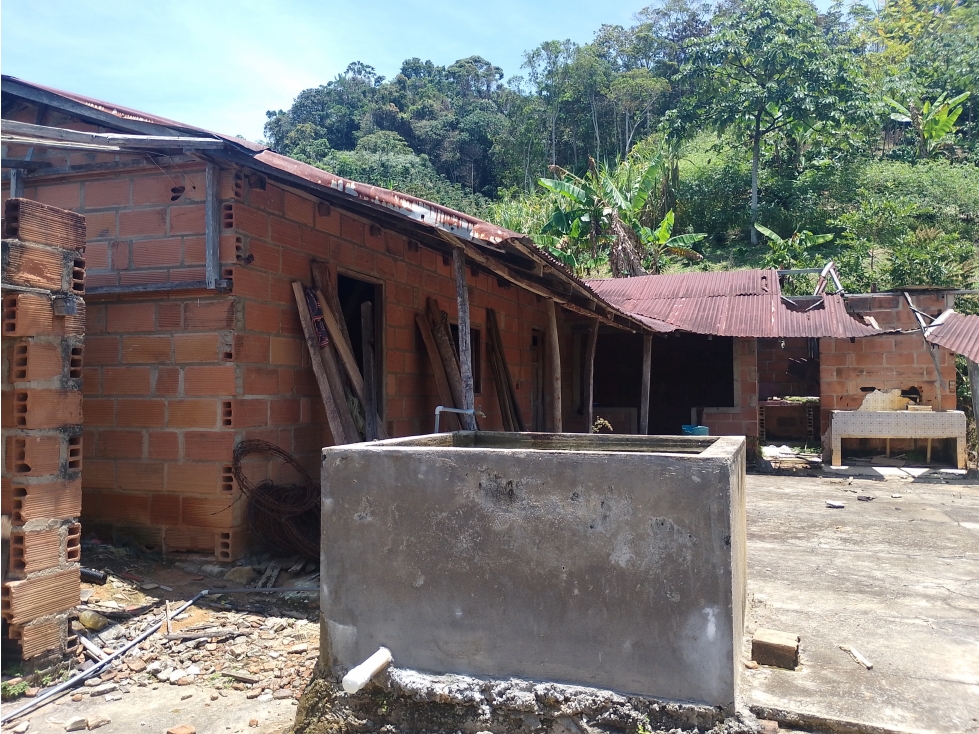 VENTA FINCA 7 HECTAREAS SAN ROQUE ANTIOQUIA - 4