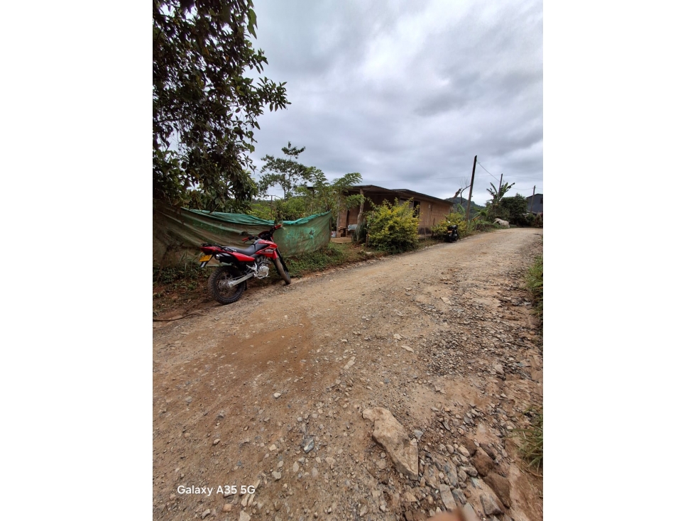 VENTA LOTE SAN ROQUE ANTIOQUIA - 2