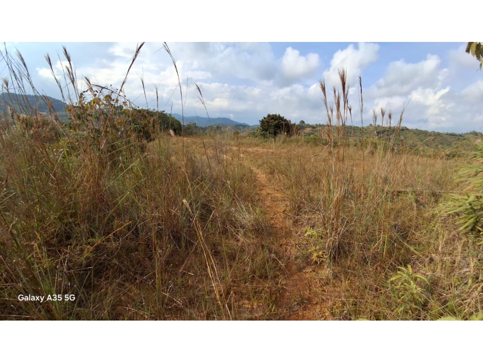 VENTA LOTE 5.000 M2 SAN ROQUE ANTIOQUIA - 3