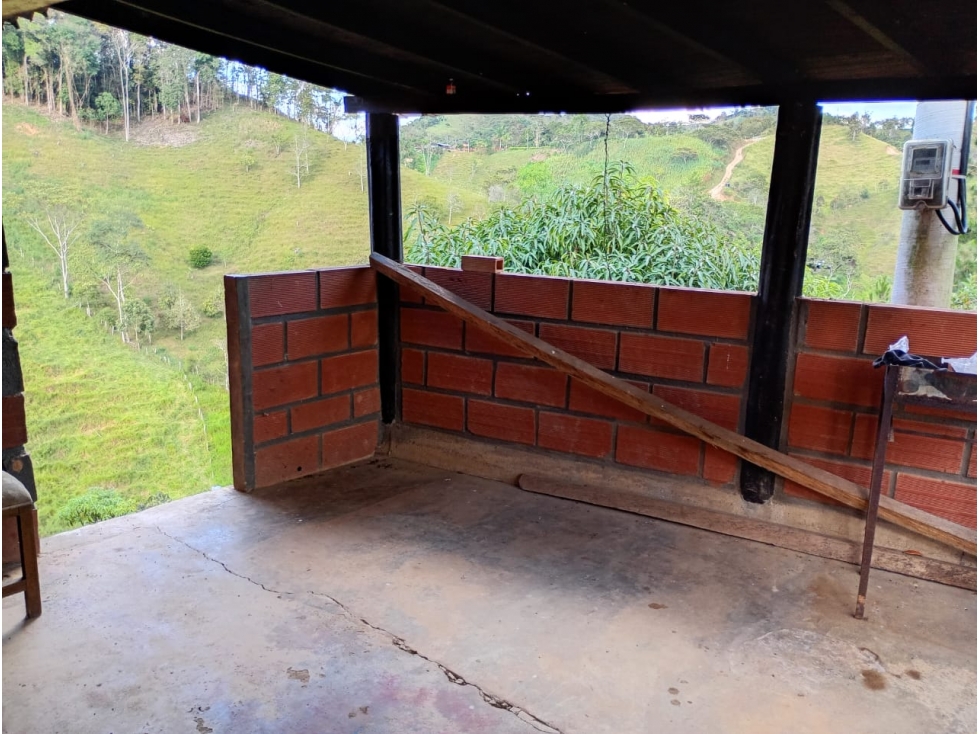 VENTA FINCA 10 HECTAREAS SAN ROQUE ANTIOQUIA - 2