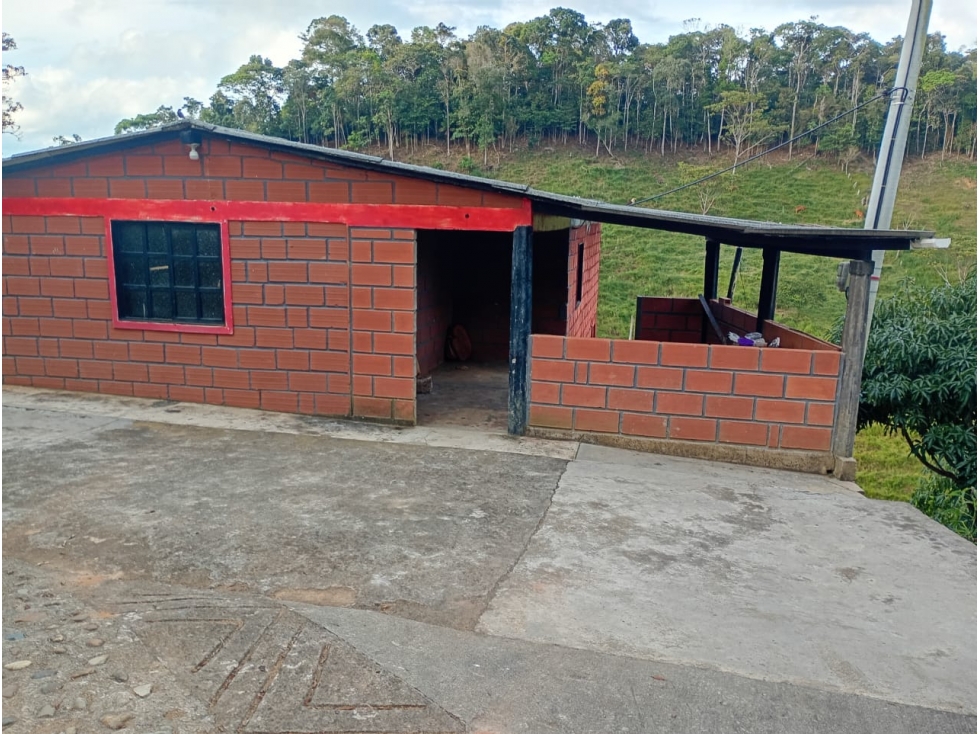 VENTA FINCA 10 HECTAREAS SAN ROQUE ANTIOQUIA - 1