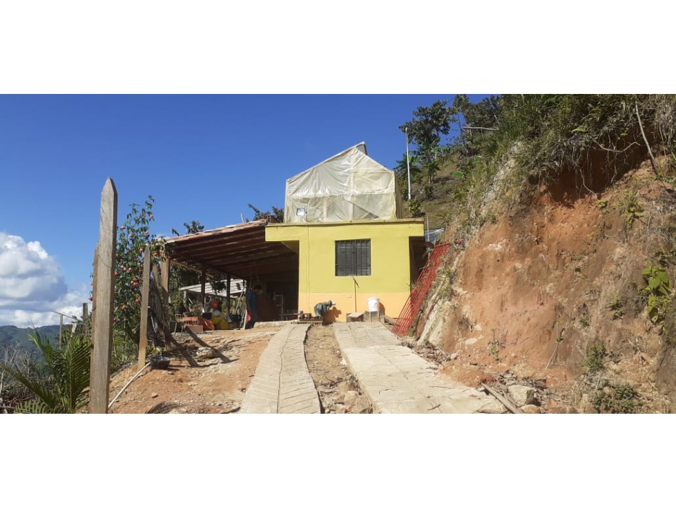 FINCA PRODUCTORA 7 HECTAREAS SAN ROQUE ANTIOQUIA - 1