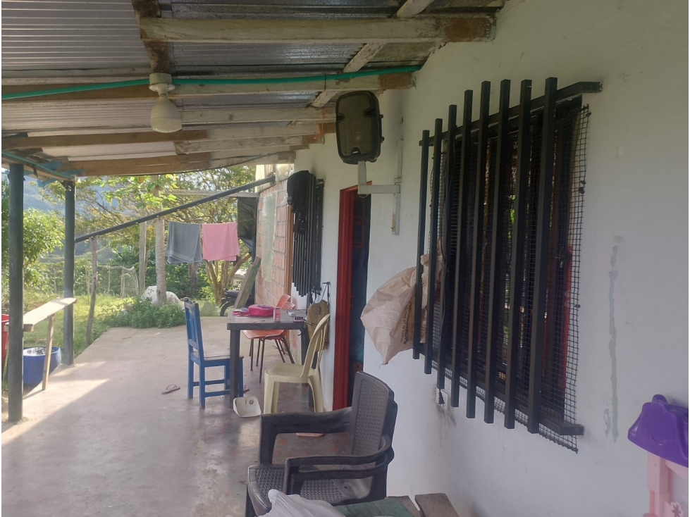 VENTA FINCA AUTOSOSTENIBLE 2.77 HECTAREAS SAN ROQUE ANTIOQUIA - 3