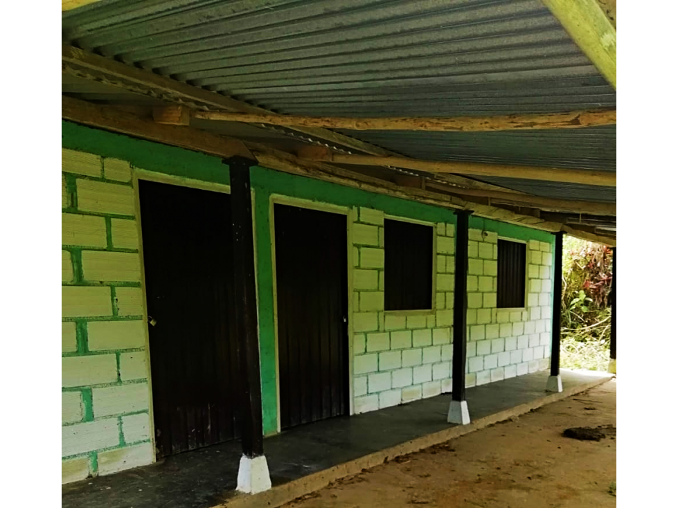 VENTA DE FINCA PRODUCTORA 15 HECTÁREAS EN SAN ROQUE ANTIOQUIA - 5