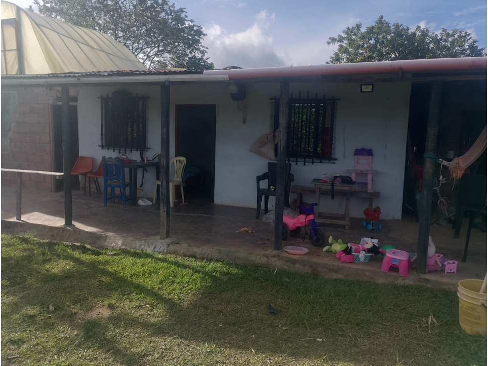 VENTA FINCA AUTOSOSTENIBLE 2.77 HECTAREAS SAN ROQUE ANTIOQUIA - 1