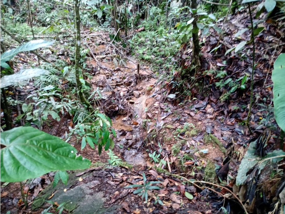 VENTA LOTE 7.200 MTS 2 QUINTAS DE SANTA CRUZ SAN ROQUE - 6