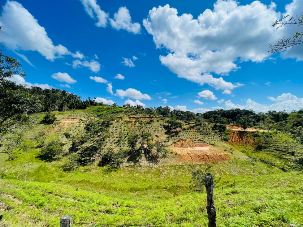 VENTA LOTES SAN ROQUE ANTIOQUIA - 3