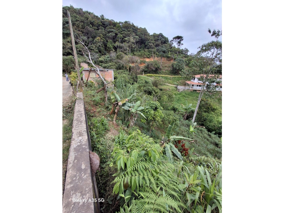 VENTA LOTE SAN ROQUE ANTIOQUIA - 3
